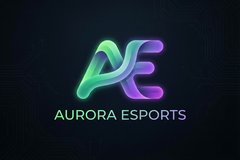 国产合作品牌极光电竞